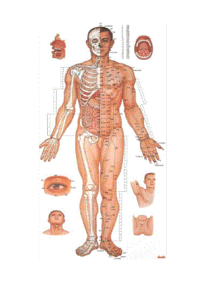 男女人体经络穴位大全.pdf