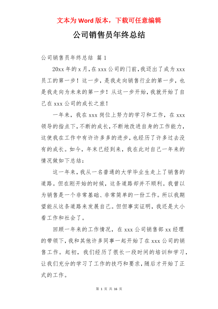 公司销售员年终总结.docx_第1页