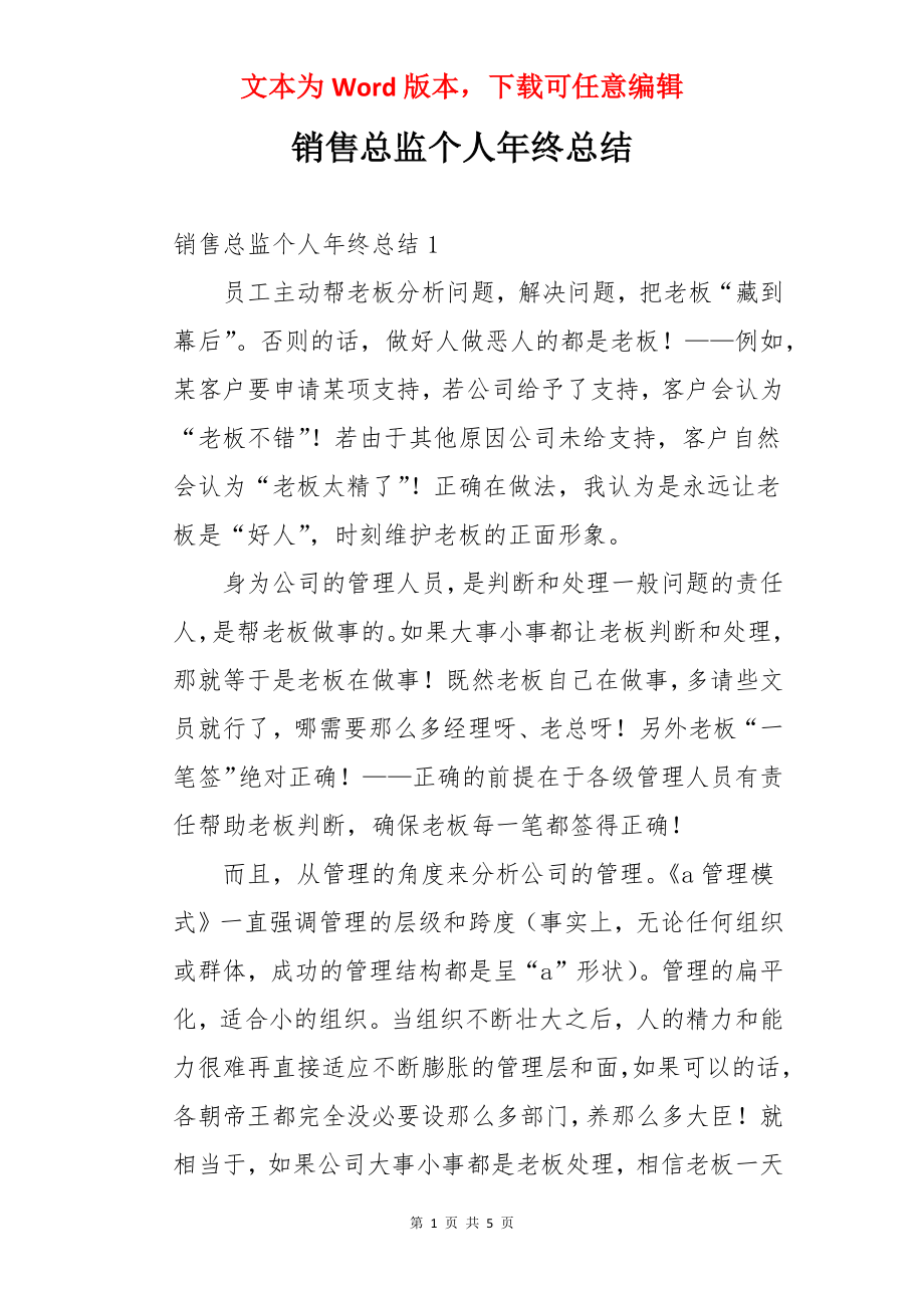 销售总监个人年终总结.docx_第1页