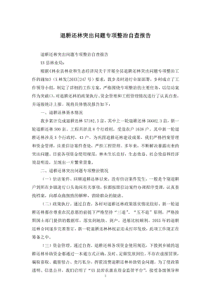 退耕还林突出问题专项整治自查报告.docx