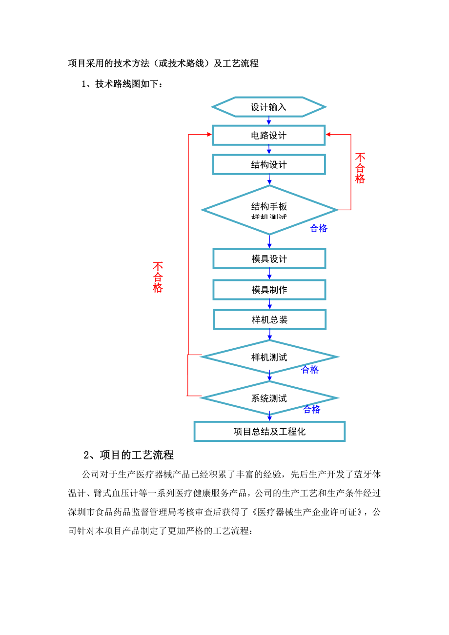 项目采用的技术方法（或技术路线）及工艺流程模板.docx_第1页