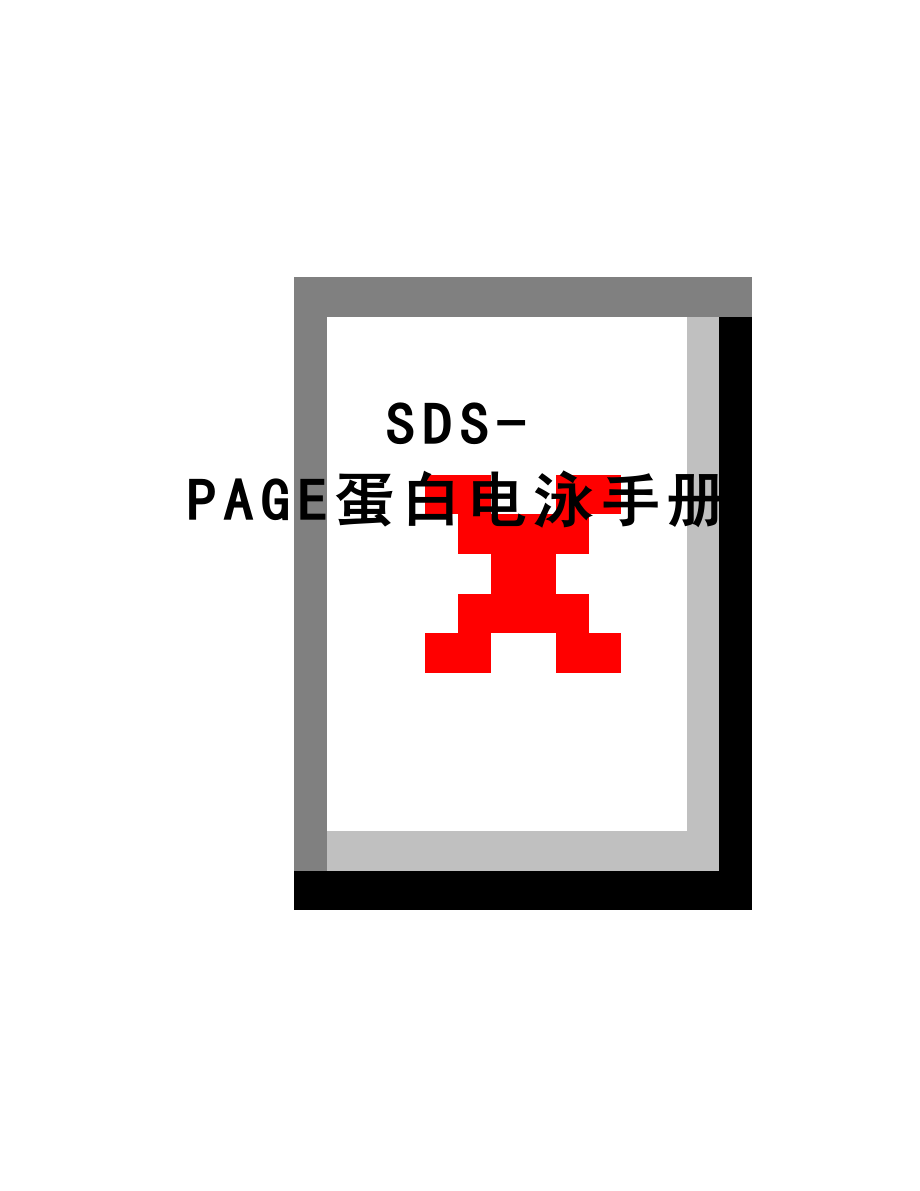 最新SDS-PAGE蛋白电泳手册.doc_第1页