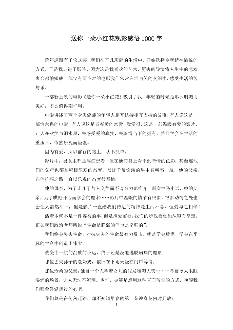 送你一朵小红花观影感悟1000字.docx_第1页