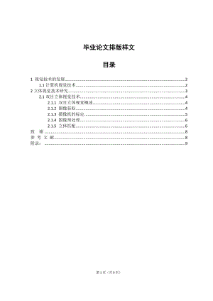 视觉技术的发展毕业论文.doc