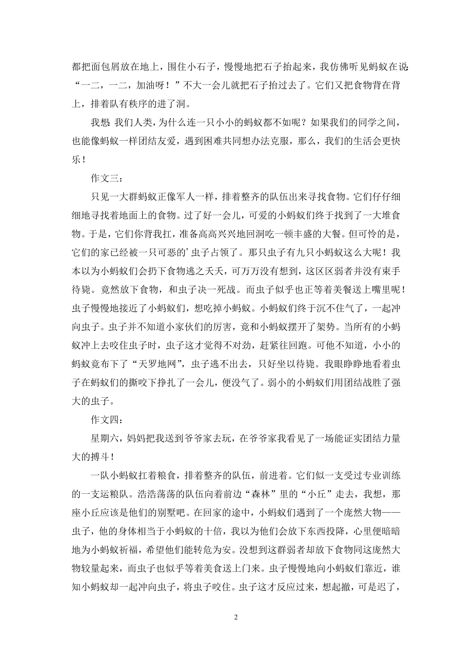 蚂蚁团结的作文.docx_第2页