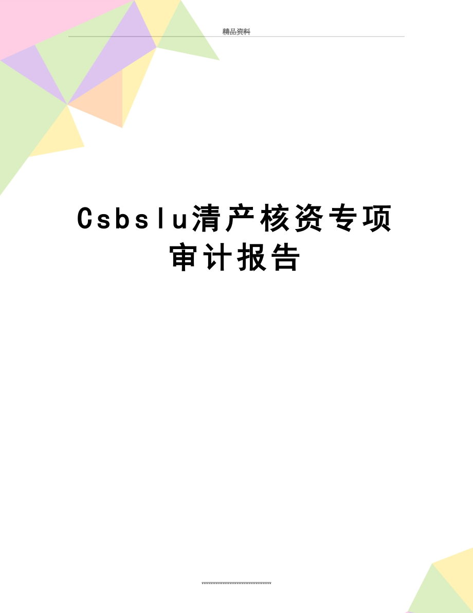 最新Csbslu清产核资专项审计报告.doc_第1页