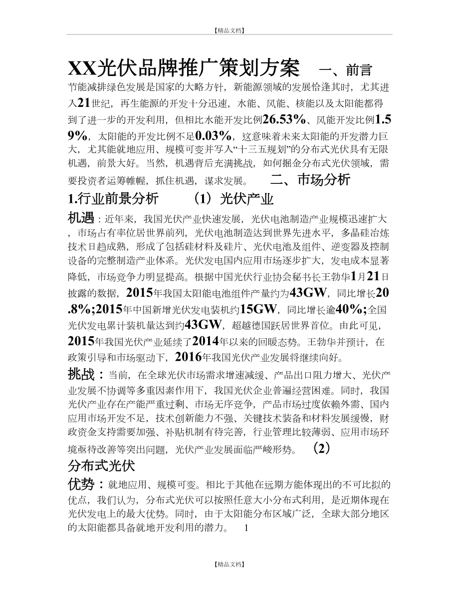 XX光伏品牌推广策划方案.doc_第2页