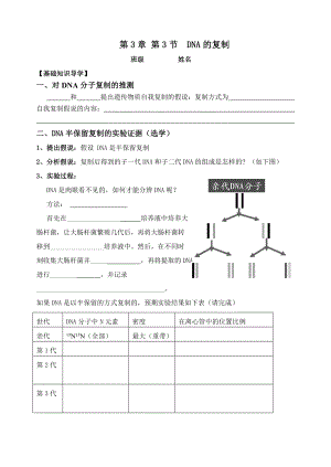 DNA的复制学案.doc