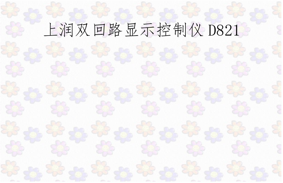 上润双回路显示控制仪D821.doc_第1页