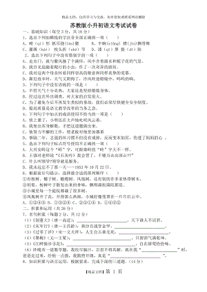苏教版小升初语文考试试卷.doc