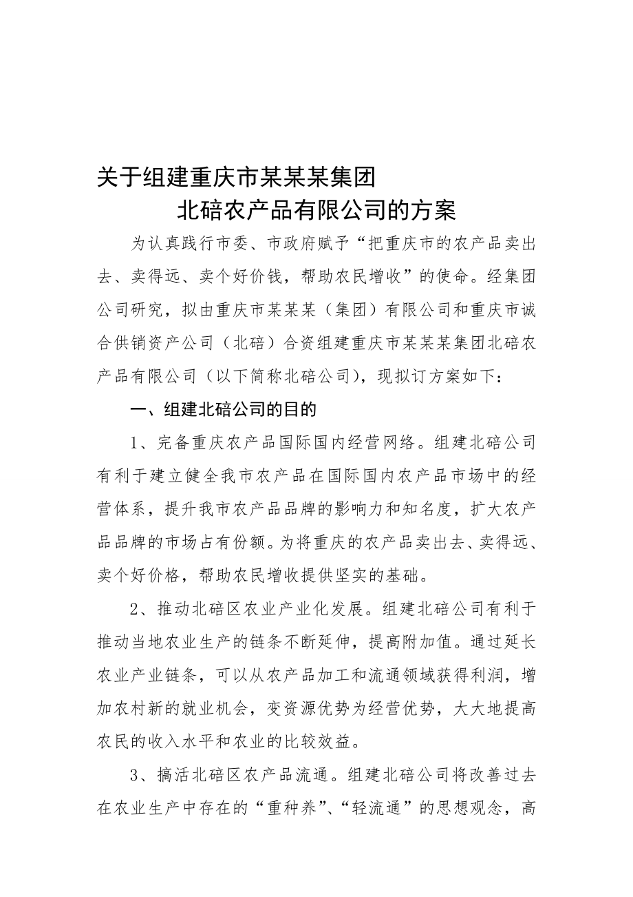 公司组建方案范本-10页word资料.doc_第2页