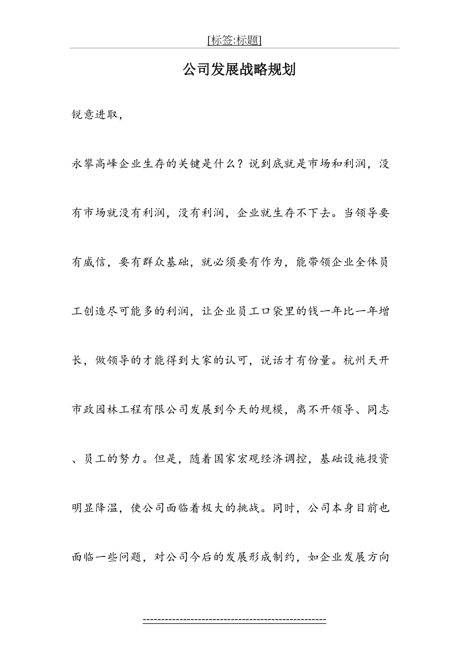 公司发展战略规划(8).doc_第2页