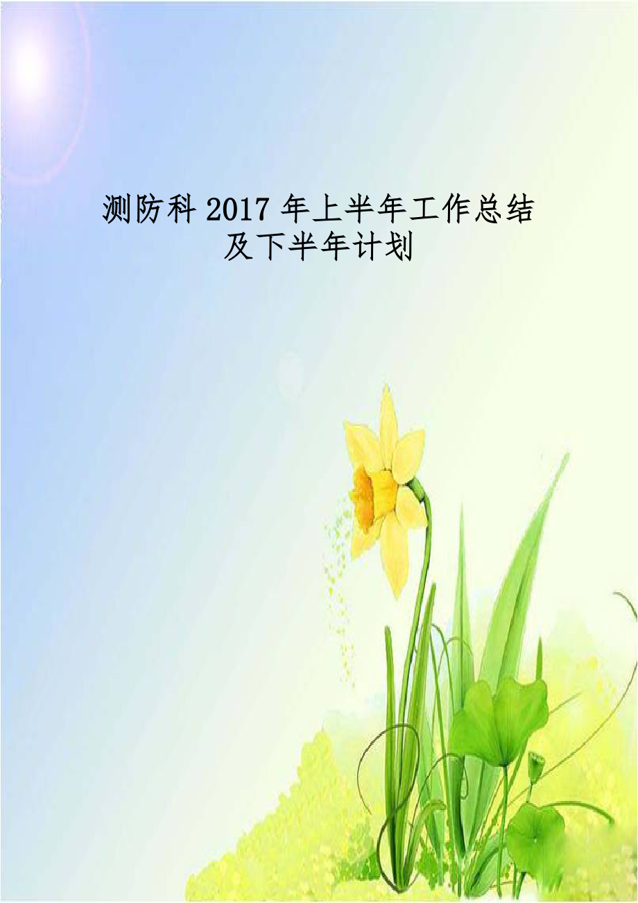 测防科2017年上半年工作总结及下半年计划.doc_第1页