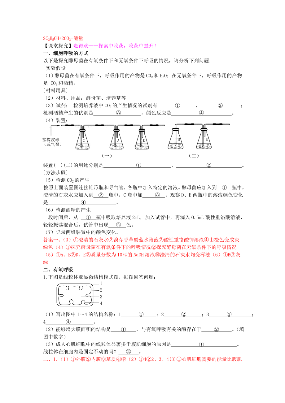 《ATP的主要来源——细胞呼吸》导学案.doc_第2页