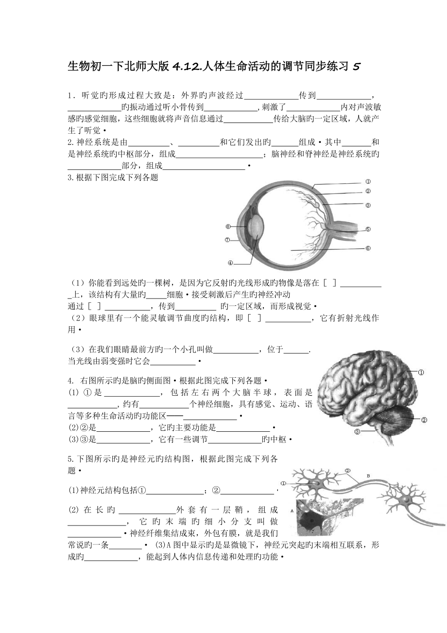 生物初一下北师大版4.12.人体生命活动的调节同步练习5.doc_第1页