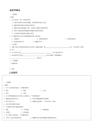 组织胚胎学试题.doc