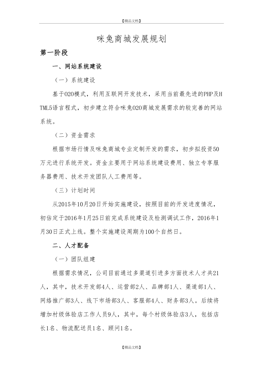 XX商城发展规划方案.doc_第2页