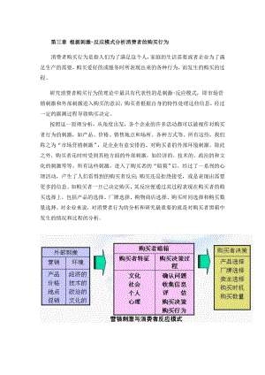 作业三第三章 根据刺激-反应模式分析消费者的购买行为.doc