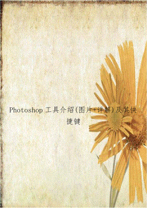 Photoshop工具介绍(图片+详解)及其快捷键教学文案.doc