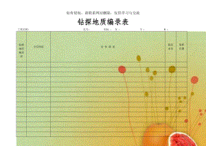 钻探地质编录表.doc