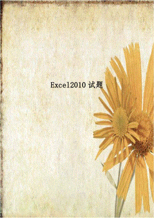 Excel2010试题知识讲解.doc