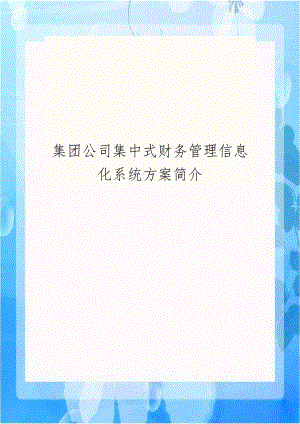 集团公司集中式财务管理信息化系统方案简介.doc