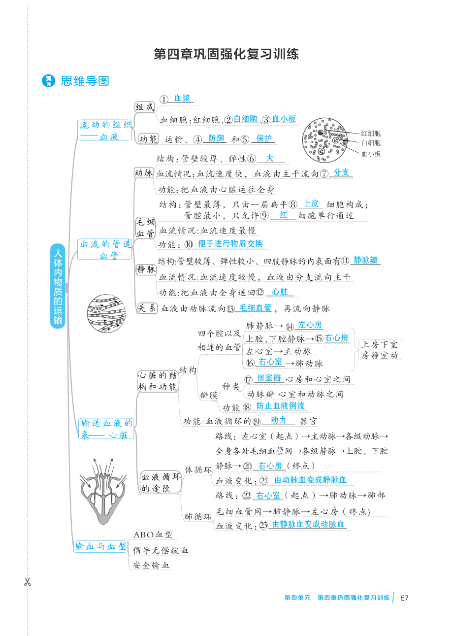 人教版七年级下册生物 第四章 人体内物质的运输 小结.pdf_第1页