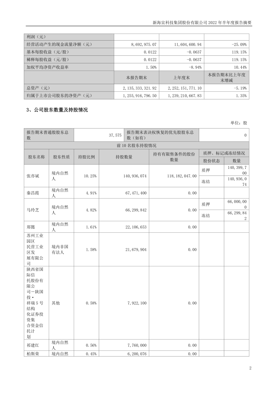 ST新海：2022年半年度报告摘要.PDF_第2页