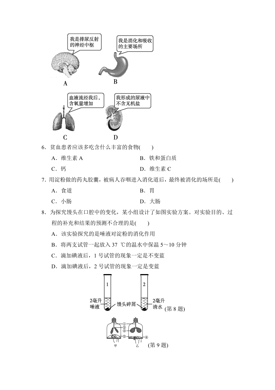 人教版七年级下册生物 第二学期期末达标测试卷.doc_第2页