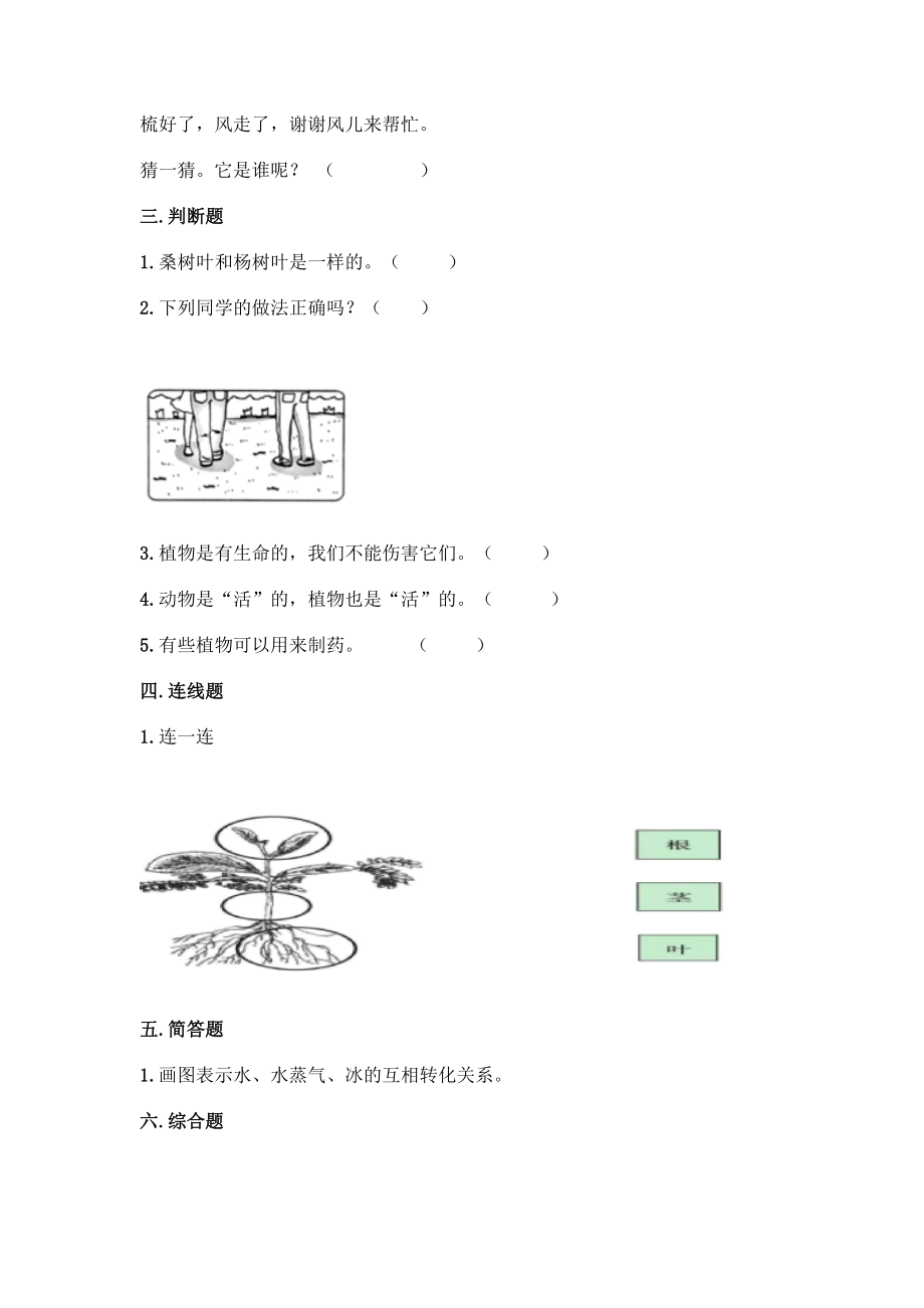 教科版（2017秋）科学一年级上册第一单元 植物 单元测试卷（含答案）.docx_第2页