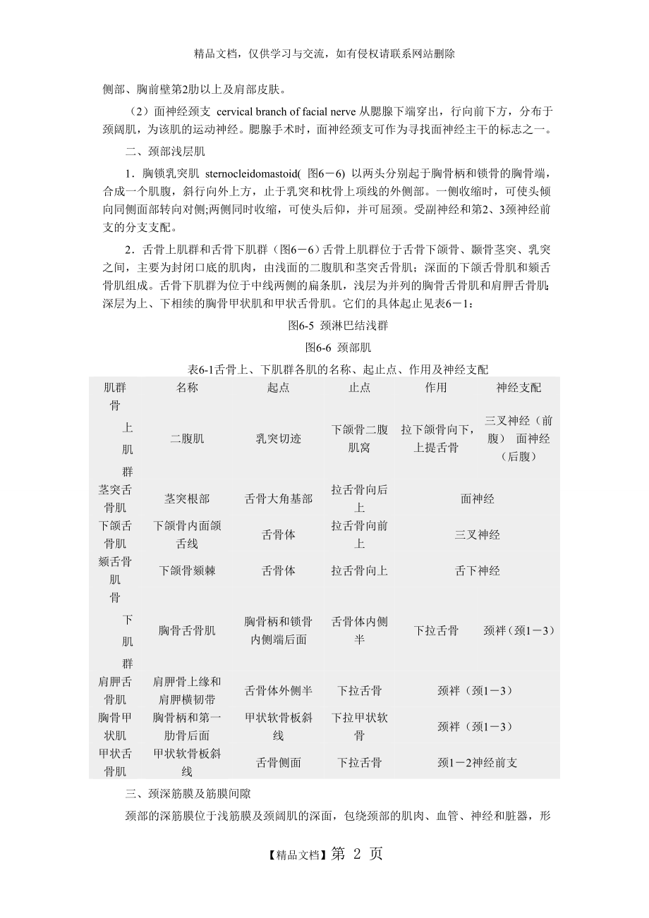 颈部层次.doc_第2页