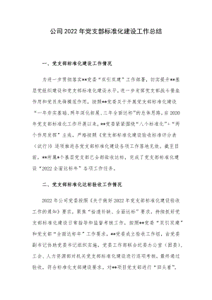 公司2022年党支部标准化建设工作总结.docx