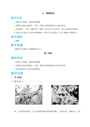 人教版七年级下册语文 第4单元 15 驿路梨花 教案.doc