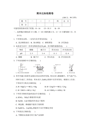 人教版九年级下册化学 期末达标测试卷.doc