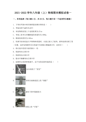 湖北省武汉市江岸区八年级（上）物理期末模拟题一.docx