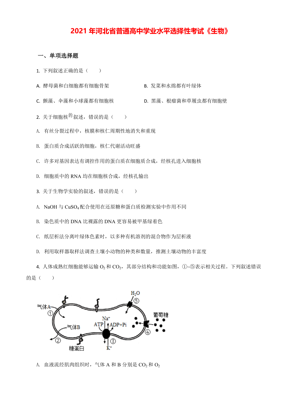 2021年河北高考生物试卷（新高考）（原卷版）.pdf_第1页