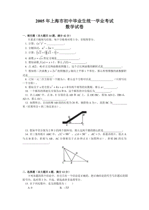 2005年上海中考数学试题及答案.docx