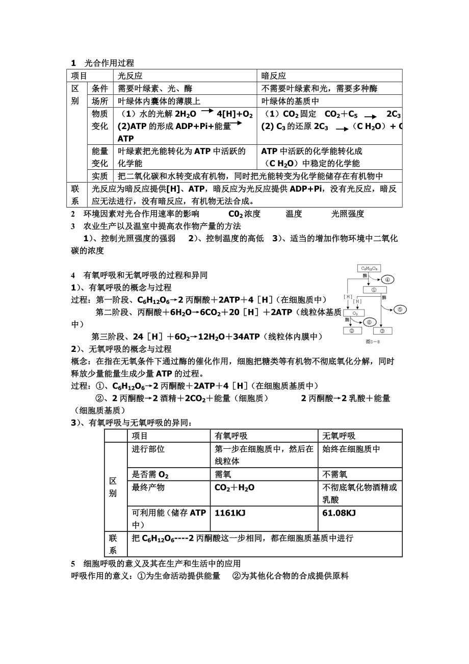 高中生物光合作用_呼吸作用专项训练.doc_第1页