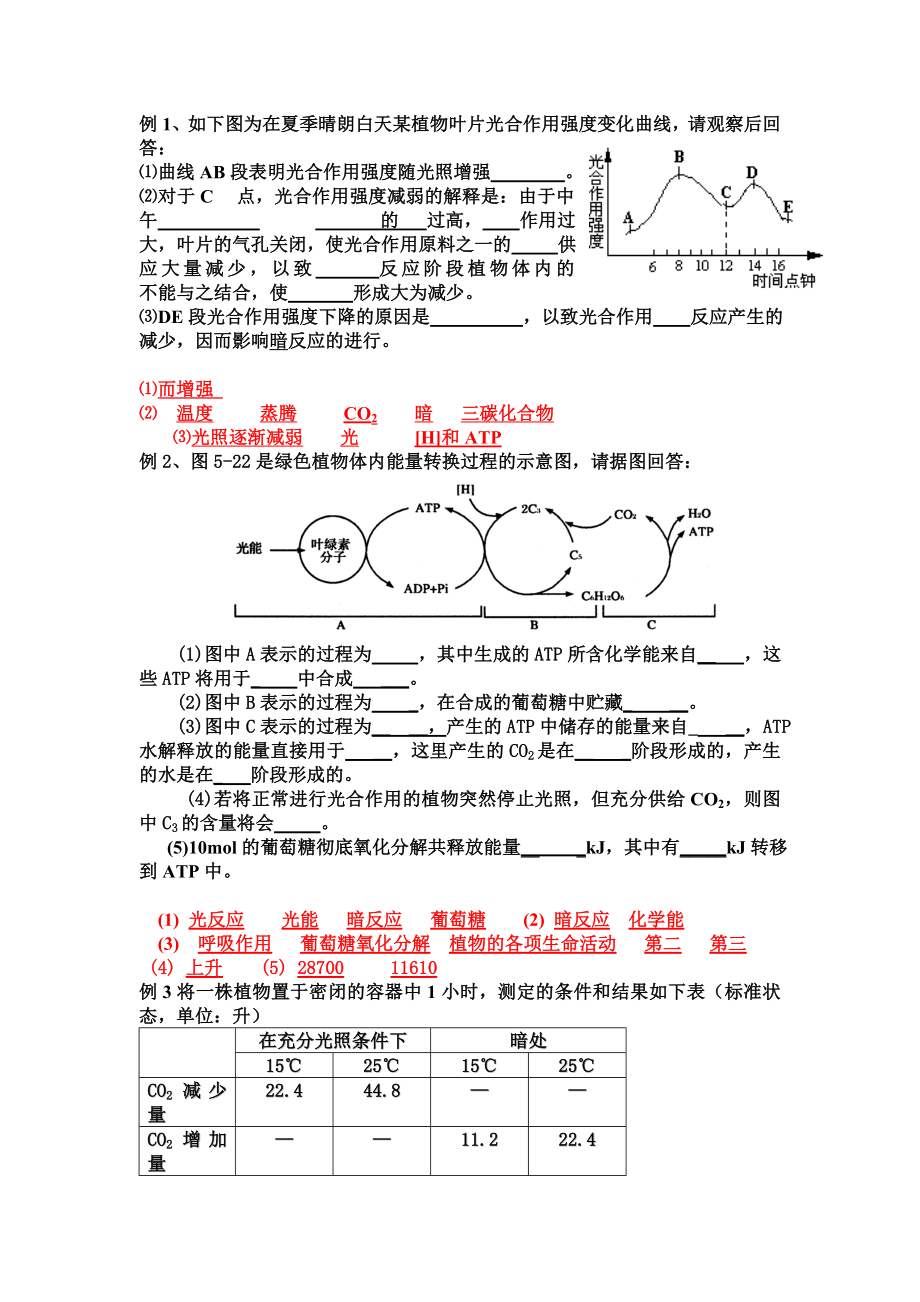 高中生物光合作用_呼吸作用专项训练.doc_第2页