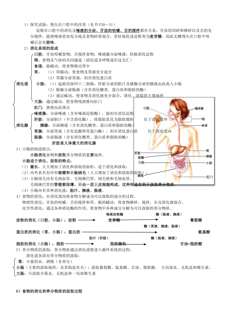 人教版七年级下生物知识点总结附带图片1.docx_第2页