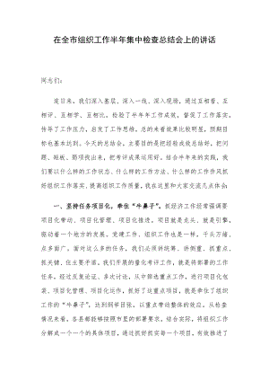 在全市组织工作半年集中检查总结会上的讲话.docx