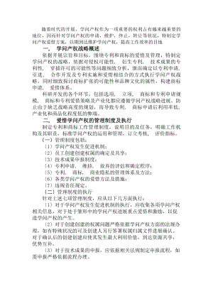 公司知识产权保护计划.docx