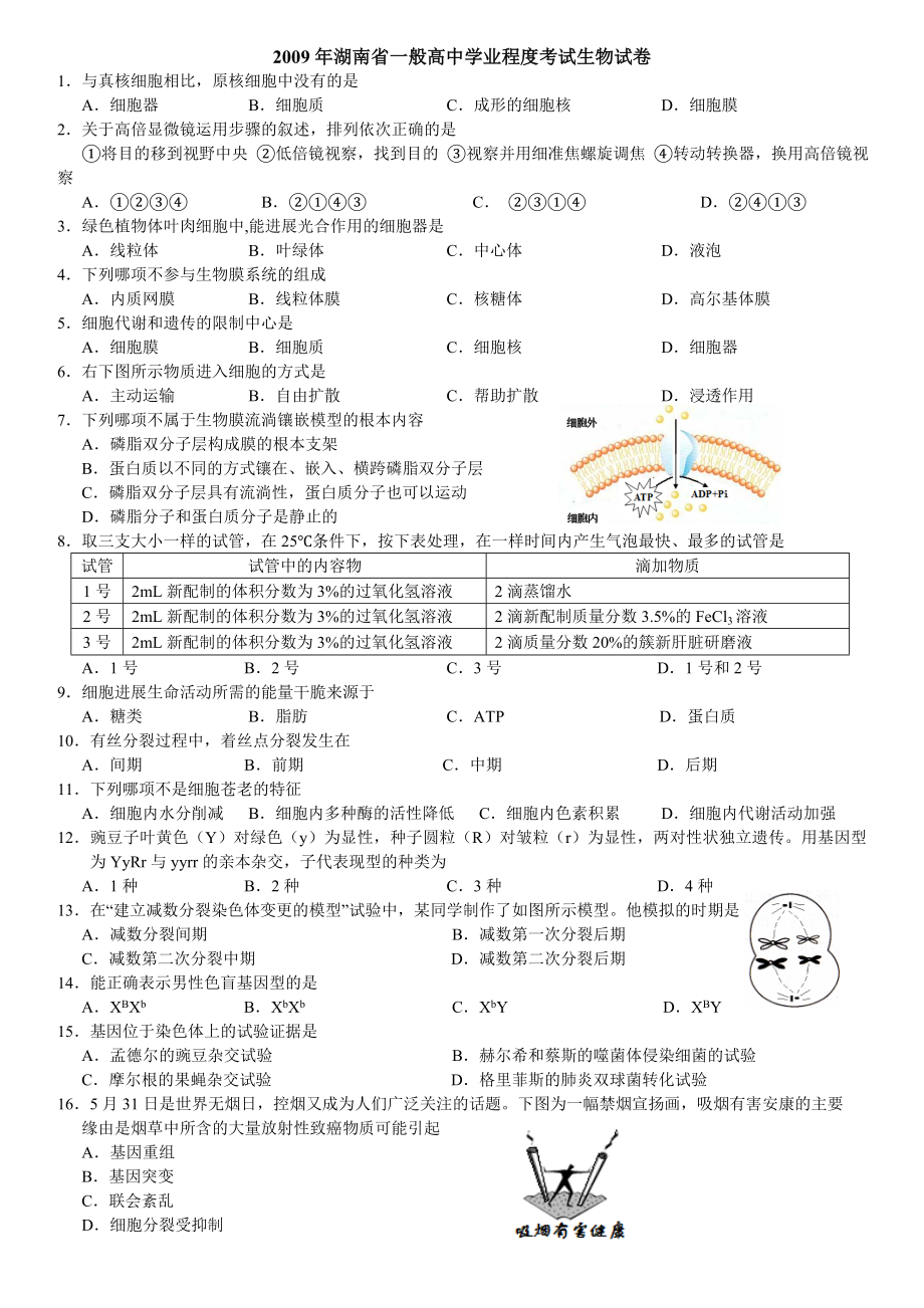 20092017年湖南省普通高中生物学业水平考试真题汇编整理版含答案.docx_第1页