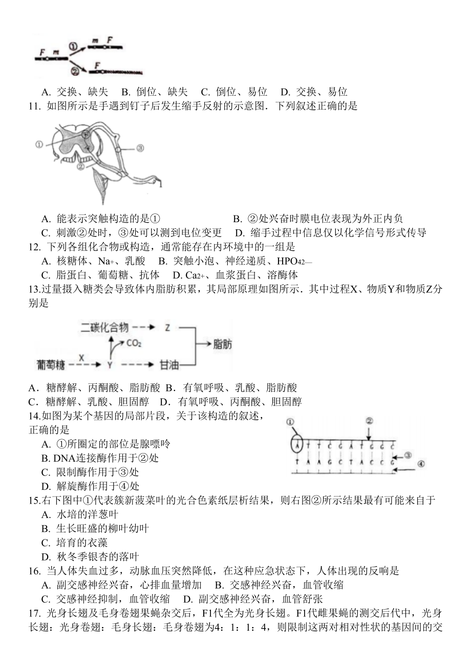 上海市徐汇区2017届高三4月模拟生物试题及复习资料.docx_第2页