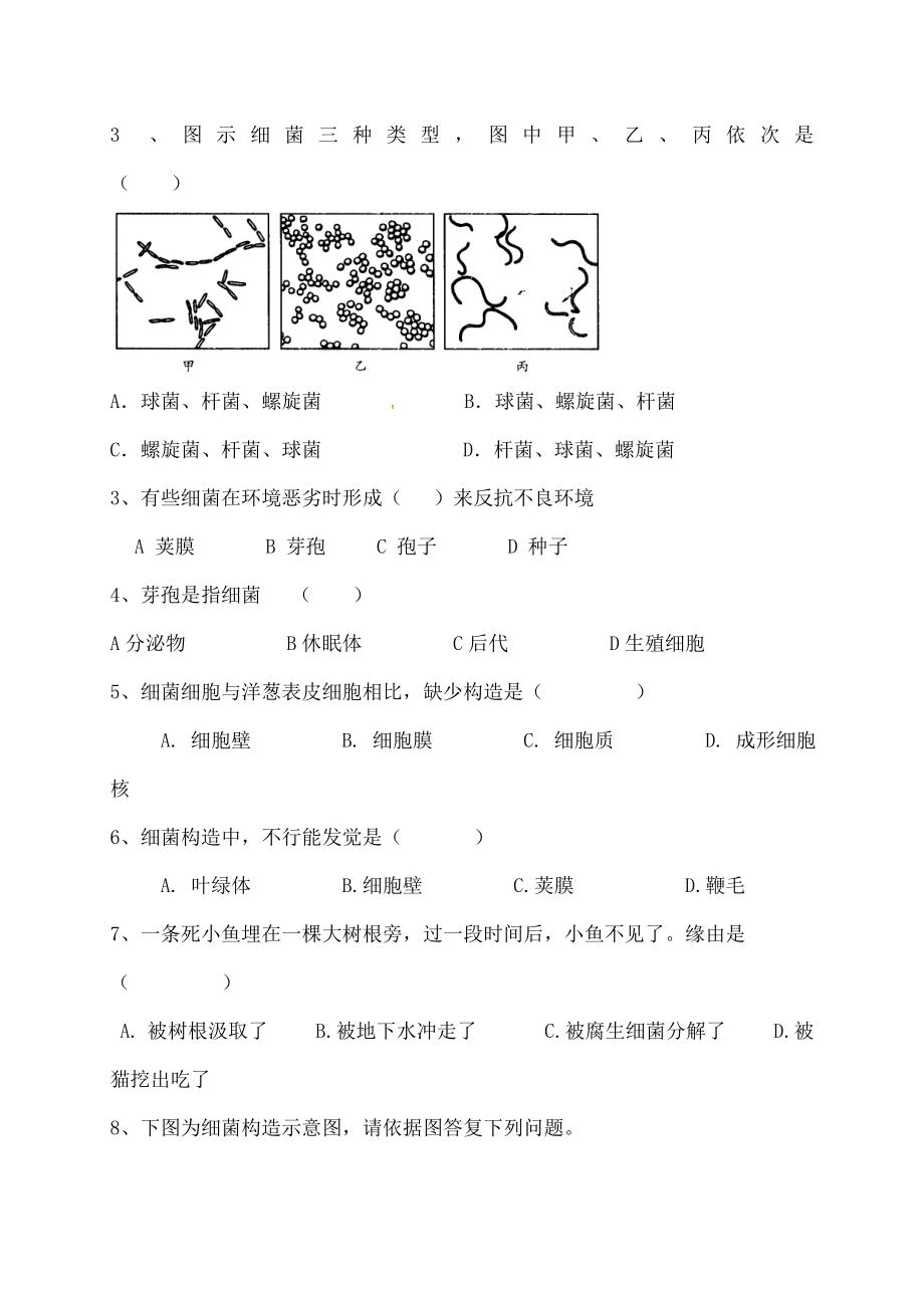 中学八年级生物上册542细菌导学案无答案新版新人教版.docx_第2页