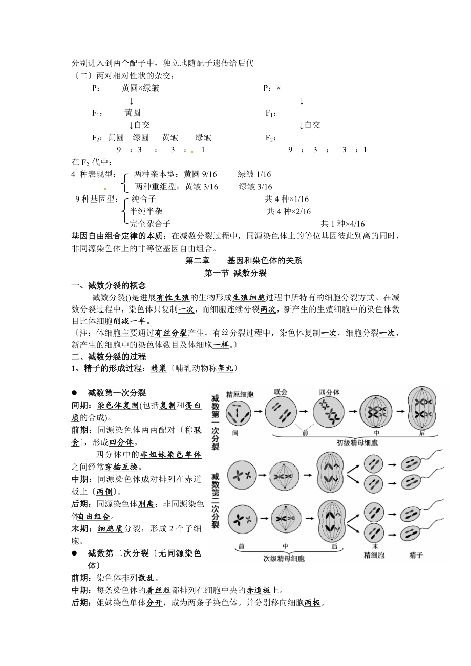 高中生物必修二知识点总结最全版.docx_第2页