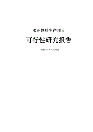 水泥熟料可行性研究报告（立项·备案·可行性研究报告）(1).doc