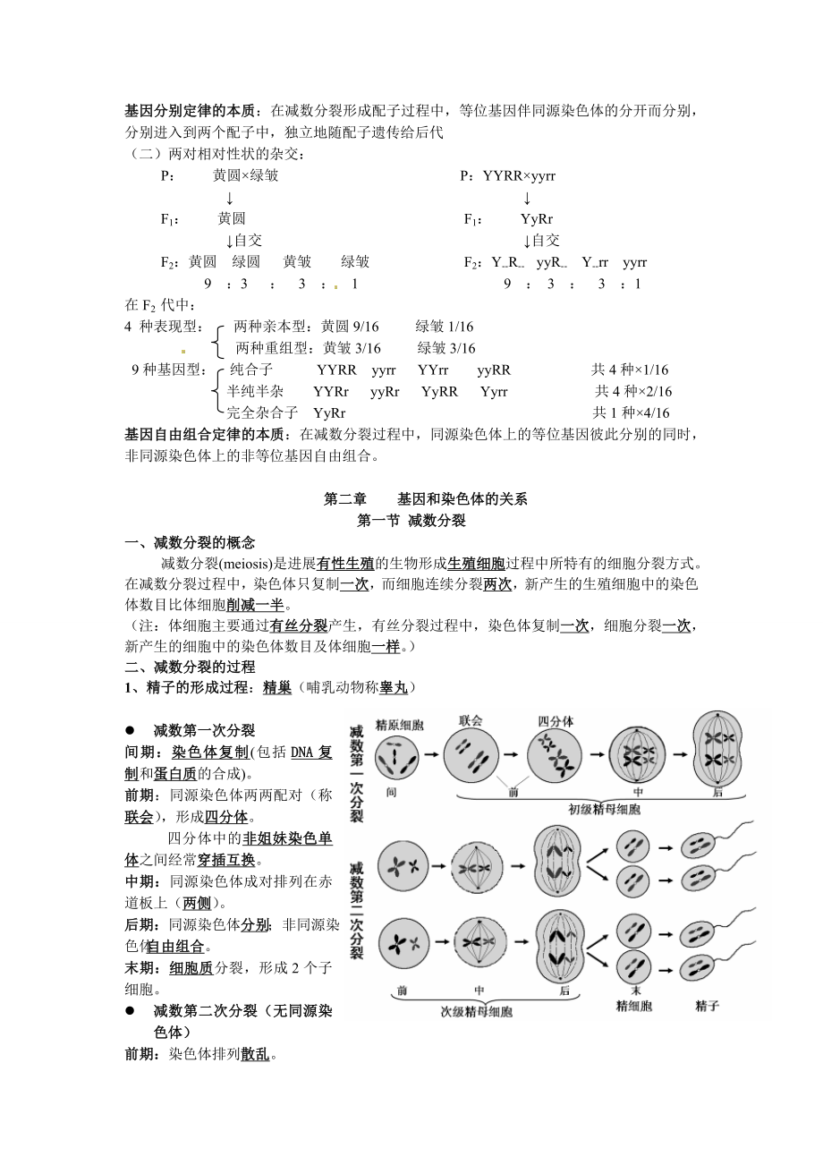 高中生物必修二知识点人教版复习提纲期末必备讲义.docx_第2页