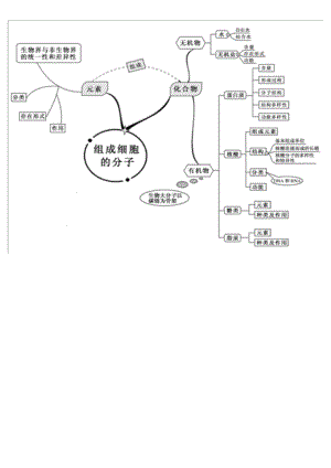 高中生物全套思维导图精编精校版.docx