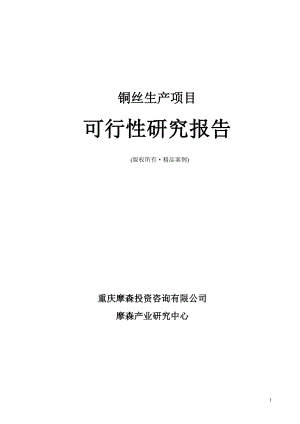 铜丝可行性研究报告（立项·备案·可行性研究报告）.doc